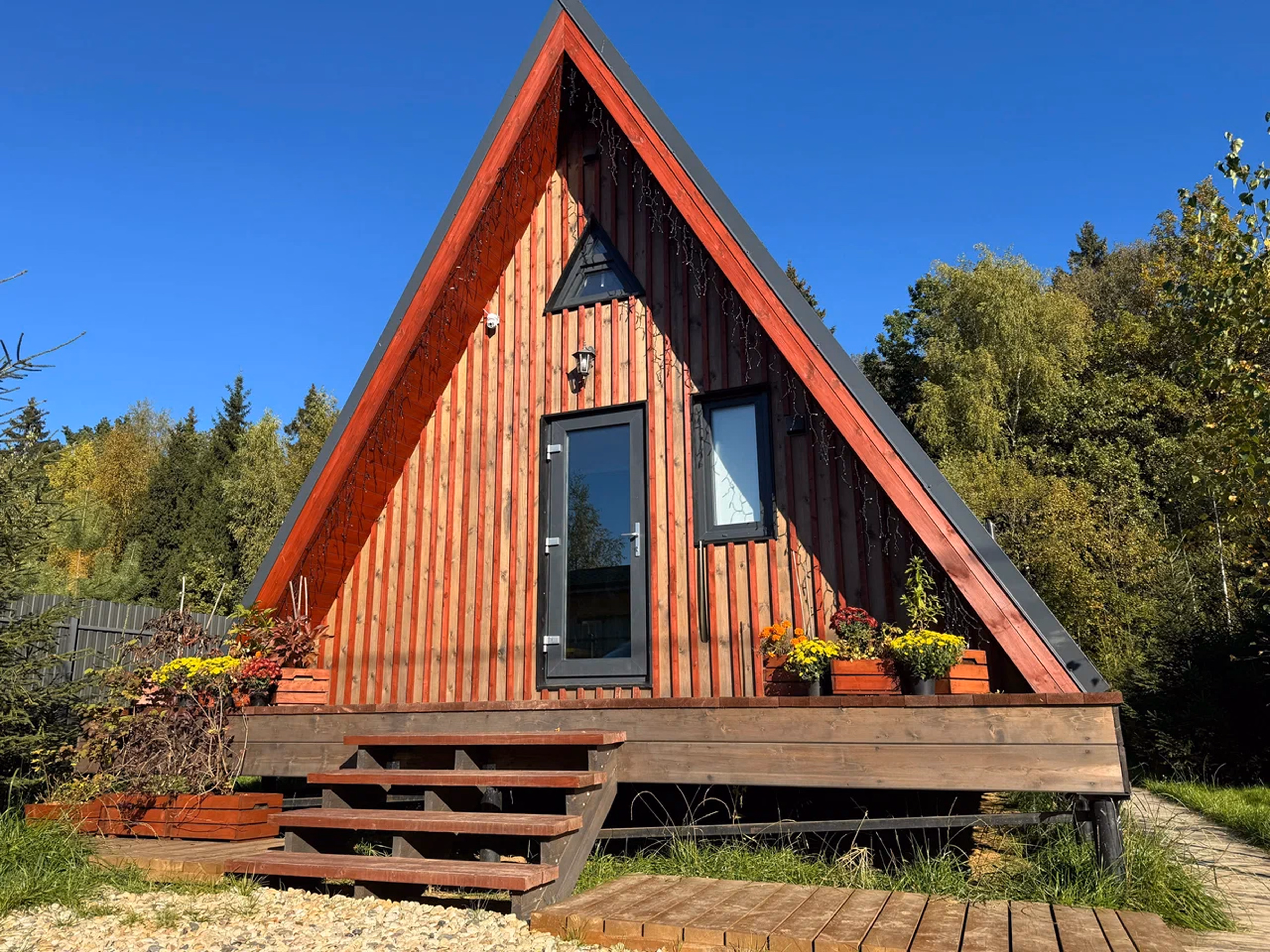 Finished house on a forest plot